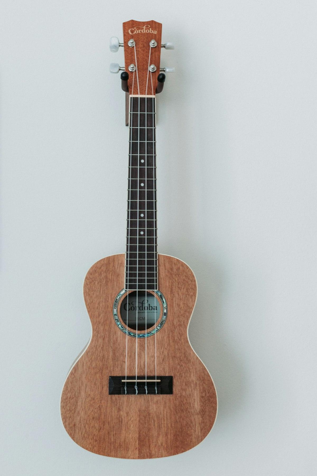 Clases de Ukulele Avanzado Para Principiantes en Lomas de Chapultepec